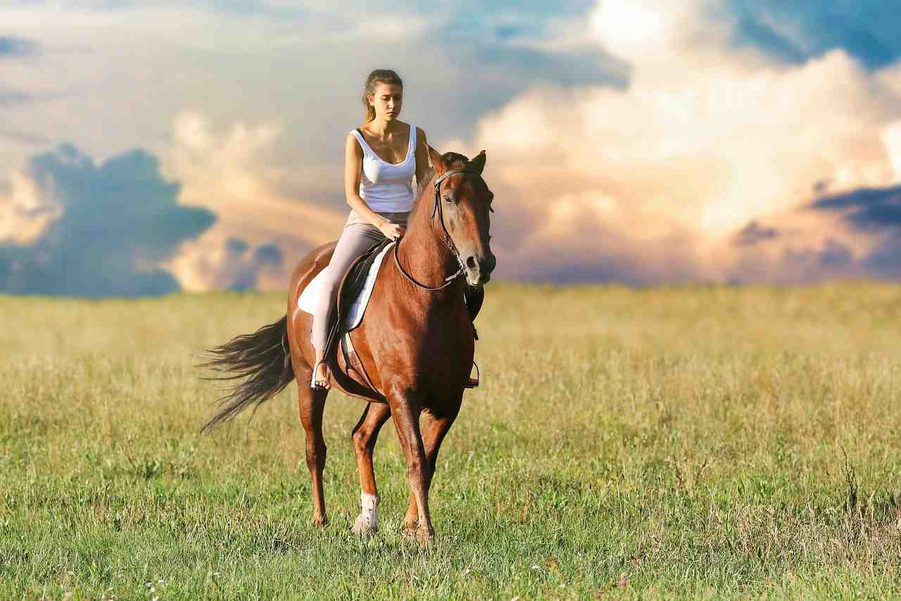 femme, circonscription, cheval
